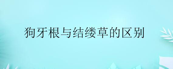 狗牙根与结缕草的区别是什么? 狗牙根与结缕草的区别是什么