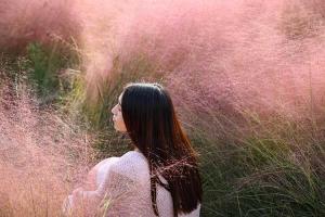 粉黛乱子草什么时候开花？