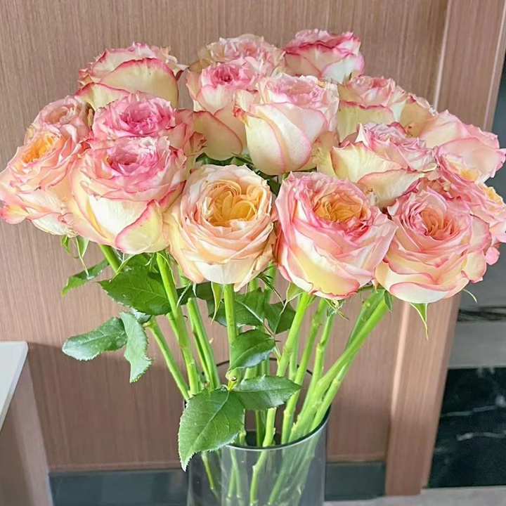 1669967350246630.jpg 城市花园