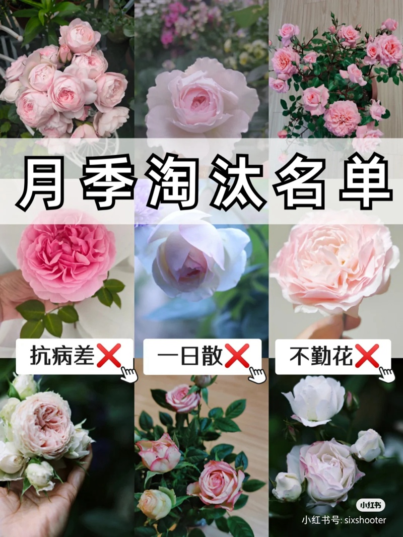 1670401120660304.jpg 1.jpg