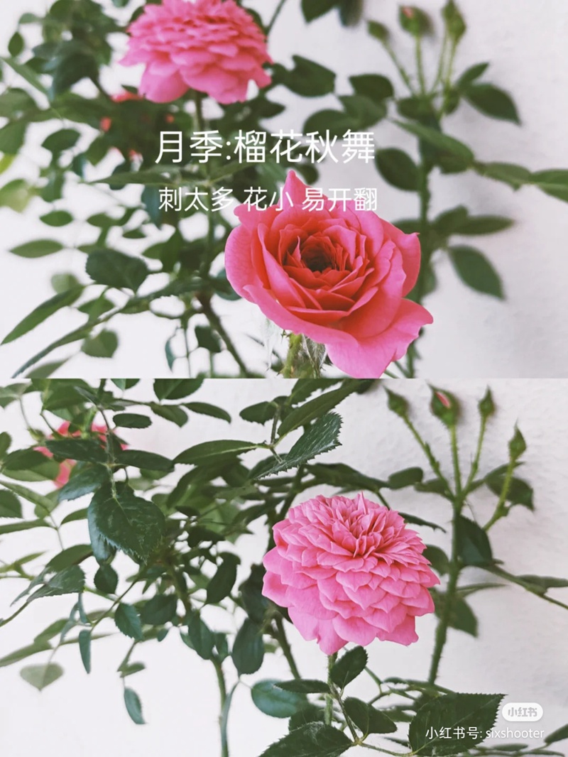 1670401208312281.jpg 7.jpg