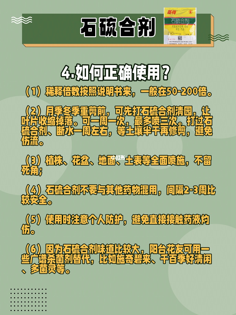 1670980596439313.jpg