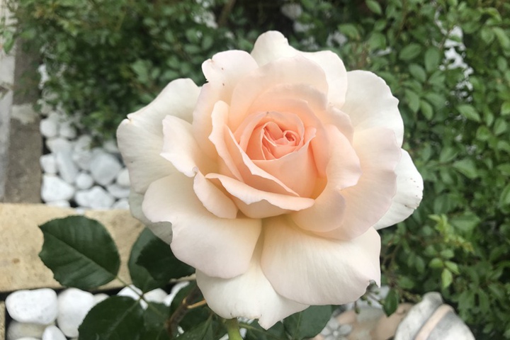 1673501842597043.jpg 多彩琥珀/海德花园