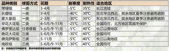 1675473203793911.jpg 铁线莲的品种如何来选择(不同组类铁线莲的区别)