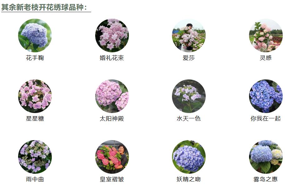 1686269868103060.jpg QQ截图20230609081639.jpg