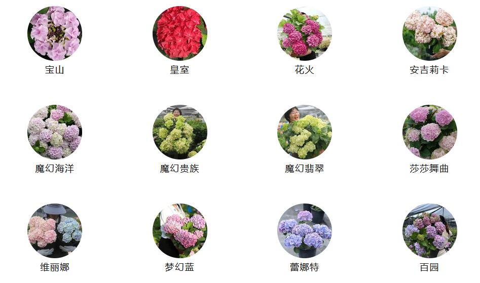 1686270173997574.jpg QQ截图20230609082151.jpg