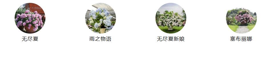1686270296507025.jpg QQ截图20230609082405.jpg