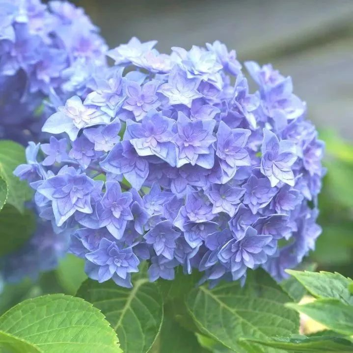 1686270480495987.jpg 4.jpg
