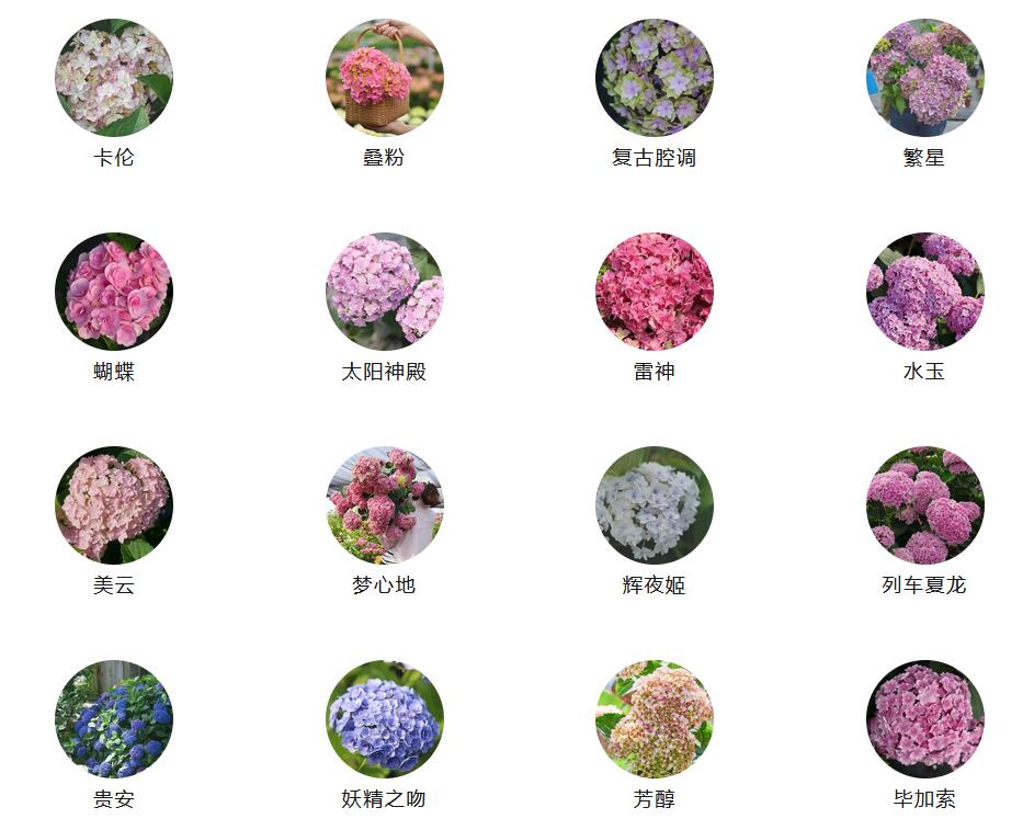 1686270497750107.jpg QQ截图20230609082627.jpg