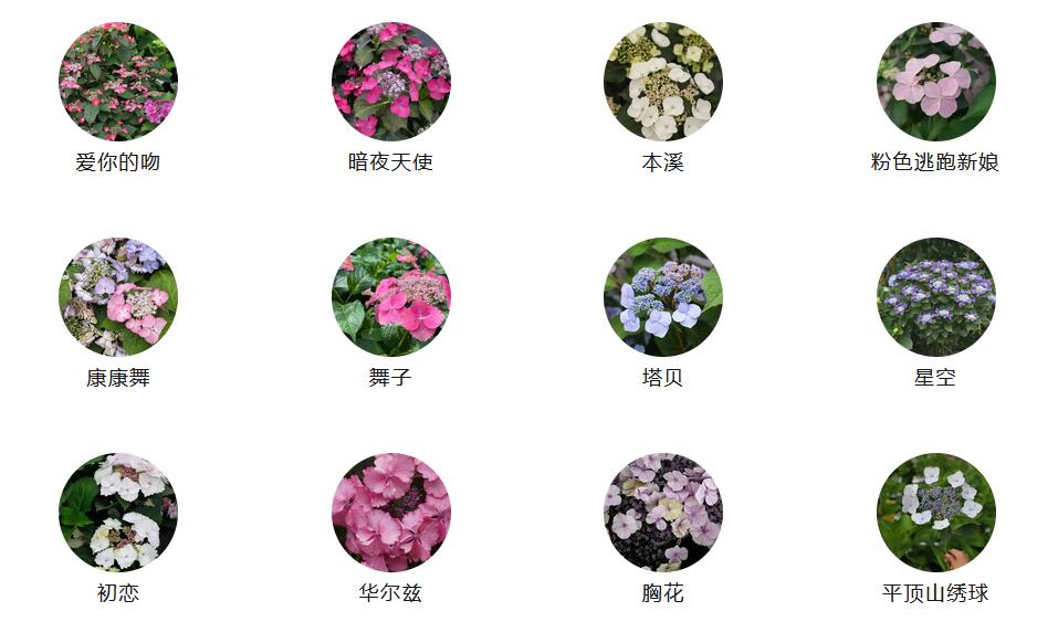 1686270650258797.jpg QQ截图20230609082942.jpg