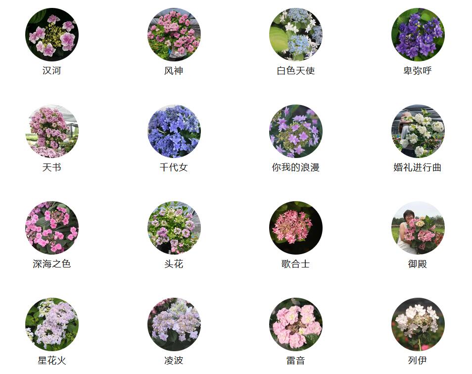 1686271010704432.jpg QQ截图20230609083307.jpg