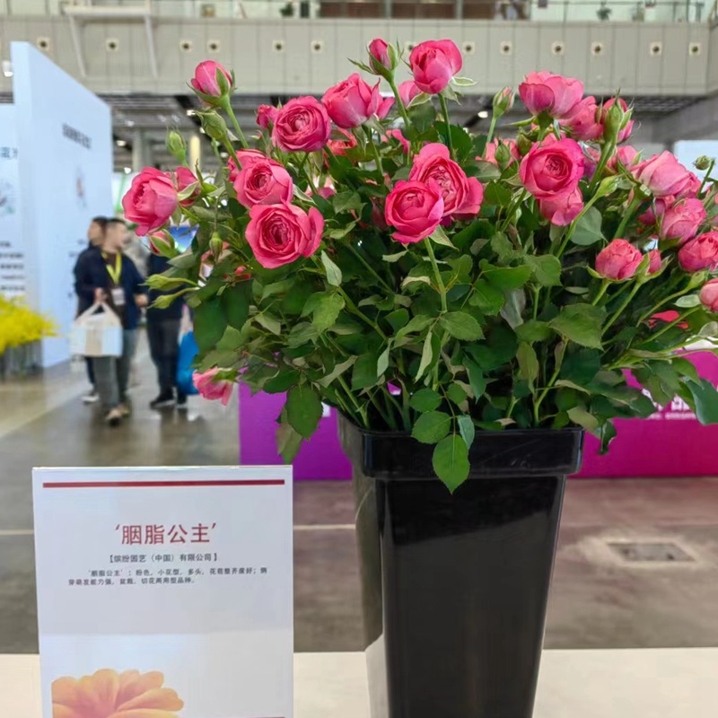 1697788873805036.jpg 胭脂公主