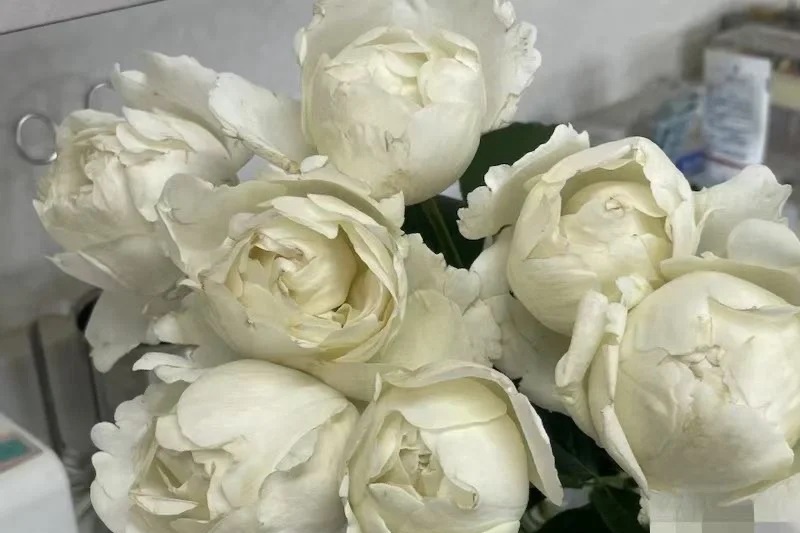 1699874250200900.jpg 1.jpg