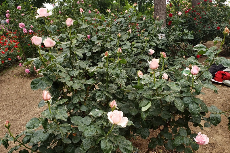 1700190959220708.jpg