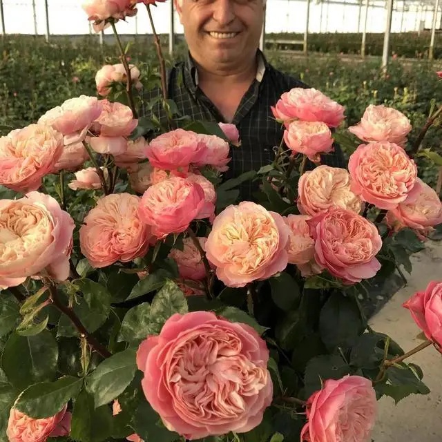 1700198781760875.jpg