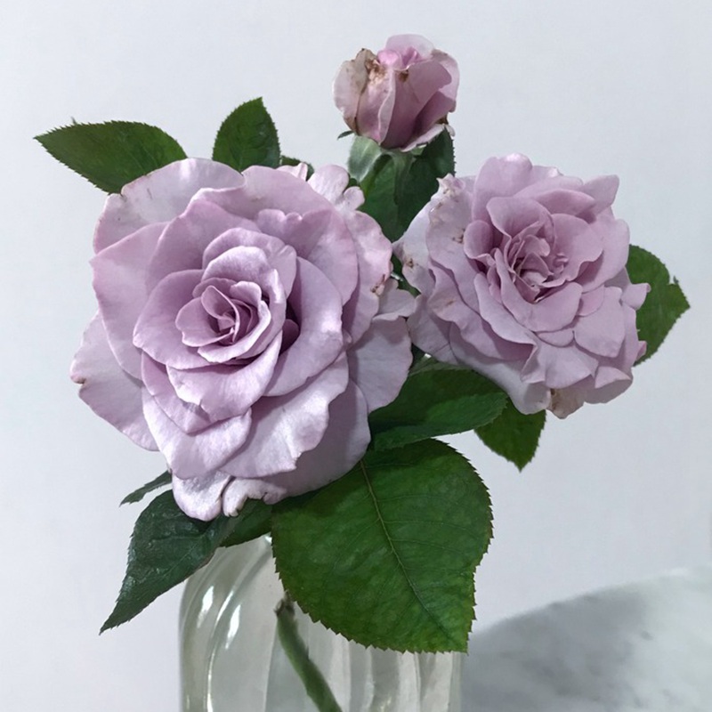 1700199181514962.jpg