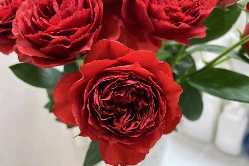 1700544074248039.jpg