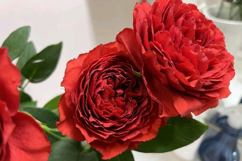 1700544074506125.jpg