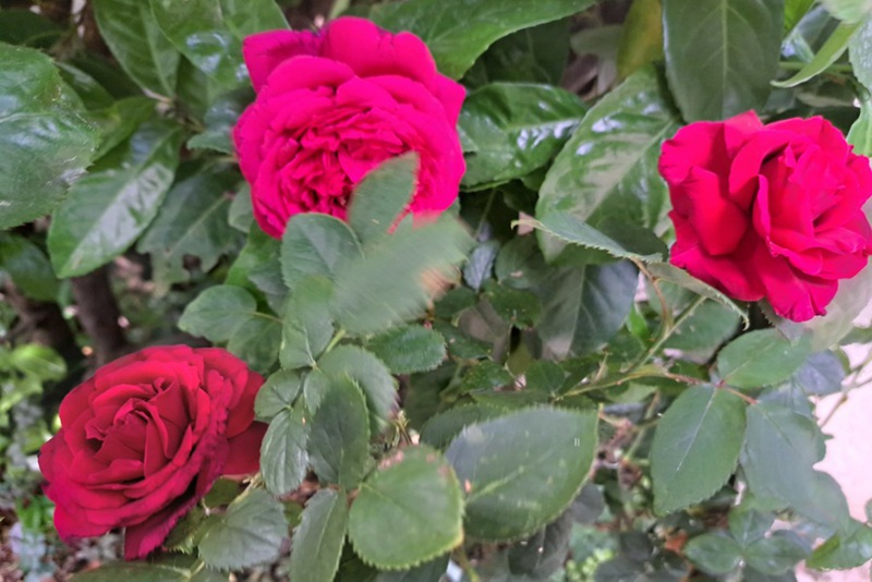 1700544714638167.jpg 1.jpg