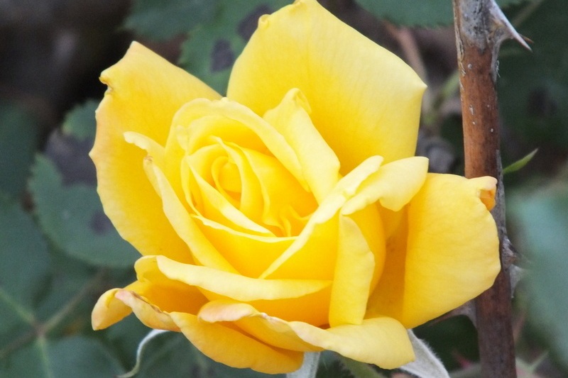 1700616322617063.jpg