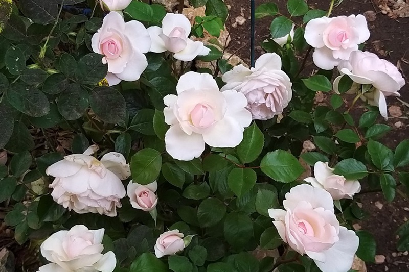 1700641074222339.jpg