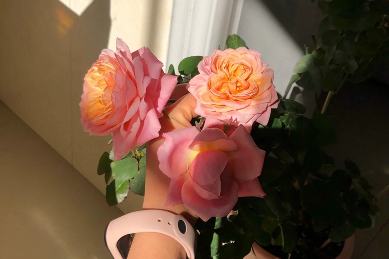 1700717617479416.jpg