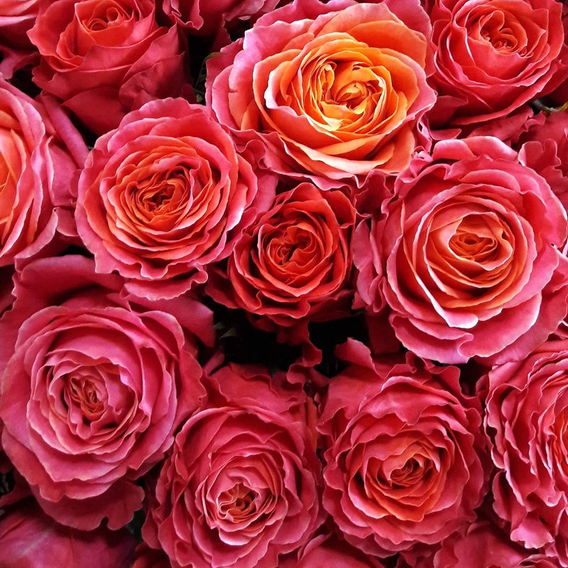 1700718412768399.jpg