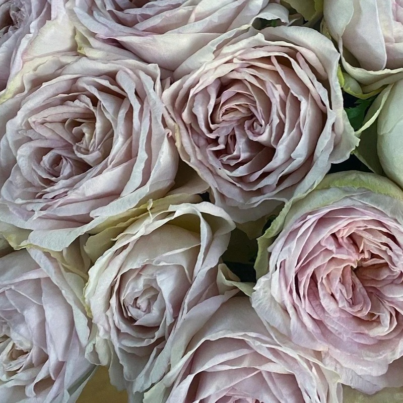 1701430983305065.jpg