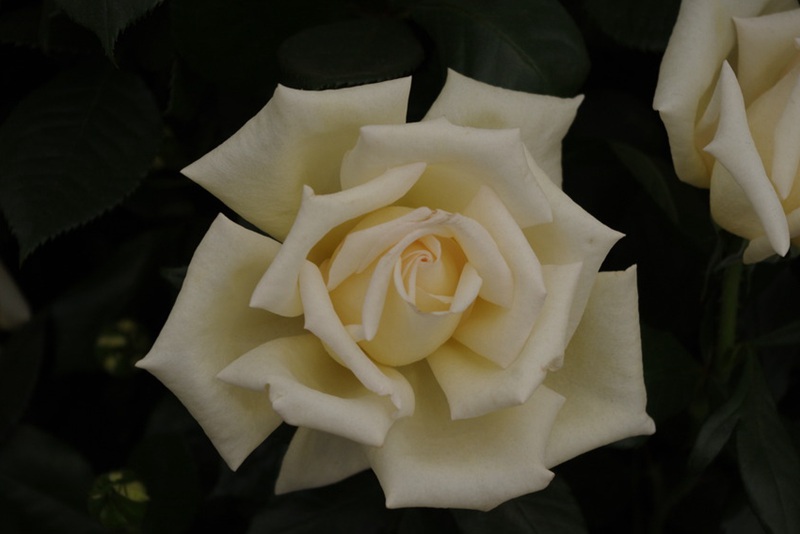 1701672564346091.jpg