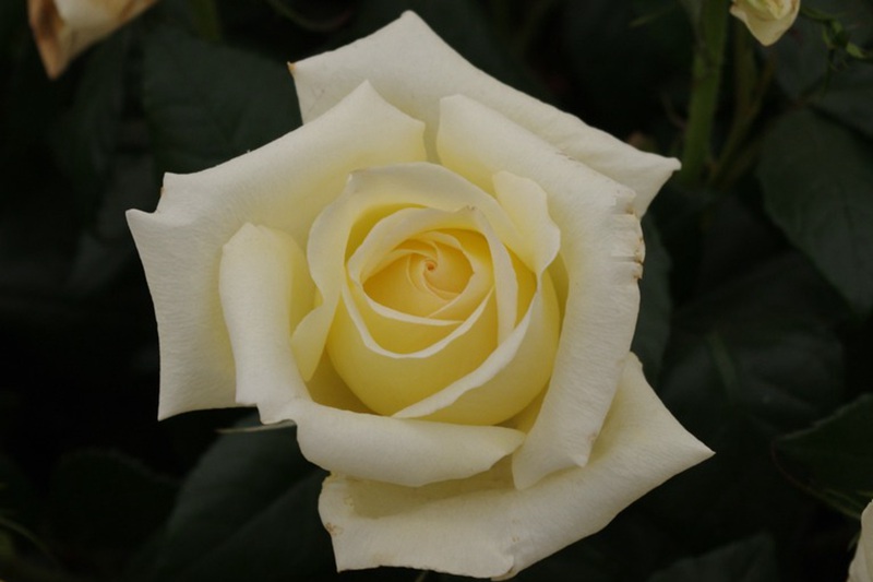 1701672564514131.jpg