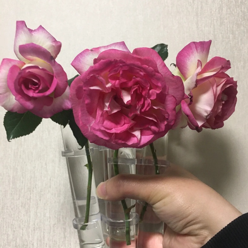 1702017663789924.jpg