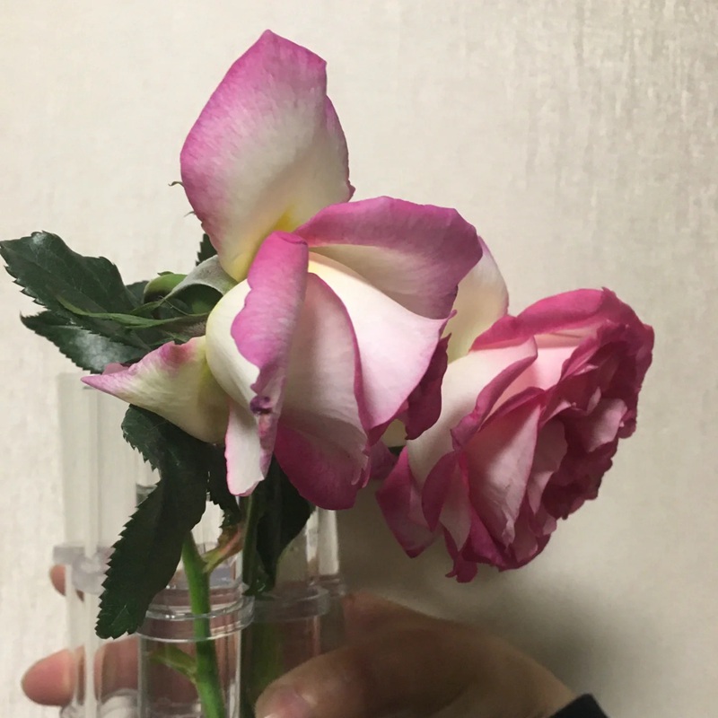 1702017664526523.jpg