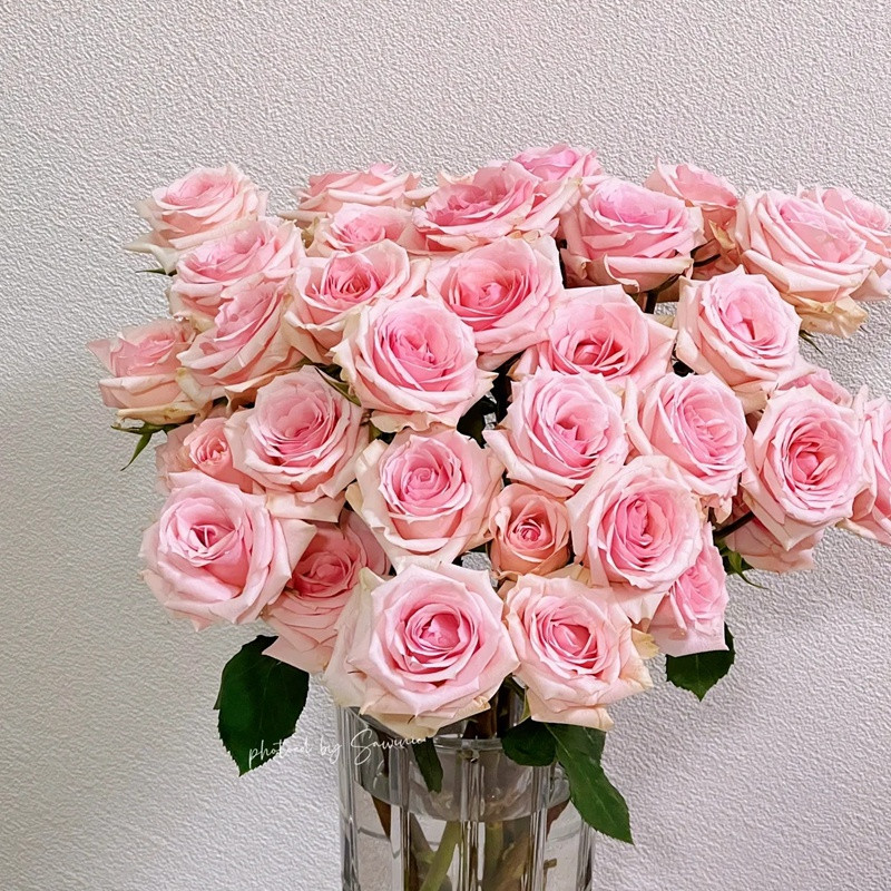 1702549455970417.jpg