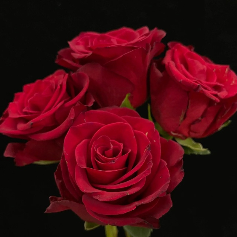 1702971439173628.jpg