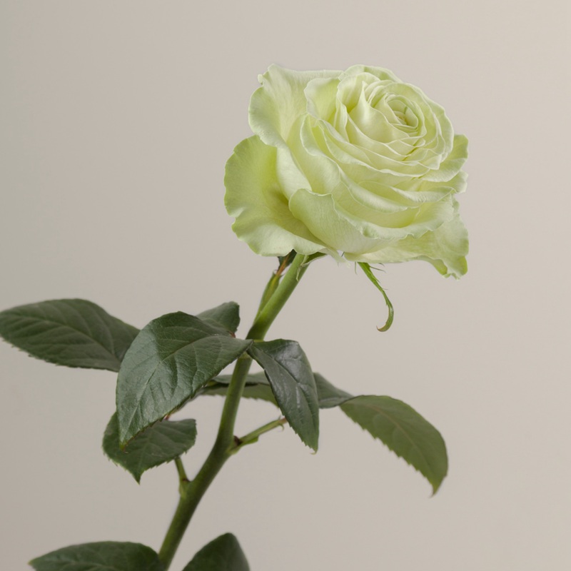 1703147131861380.jpg