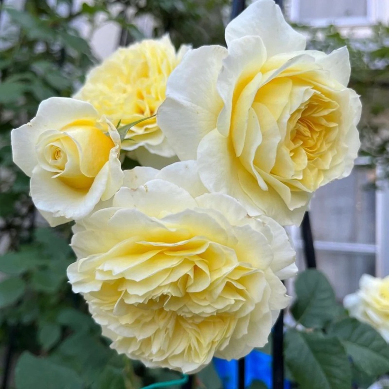 1704182076298485.jpg