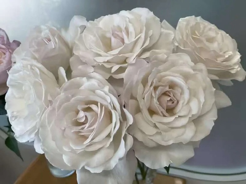 1704182212160521.jpg