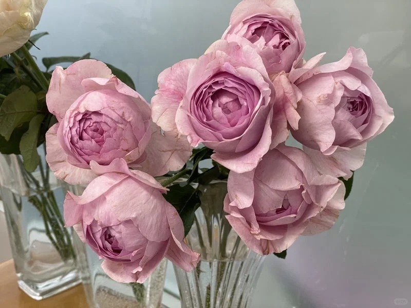 1704183015511830.jpg