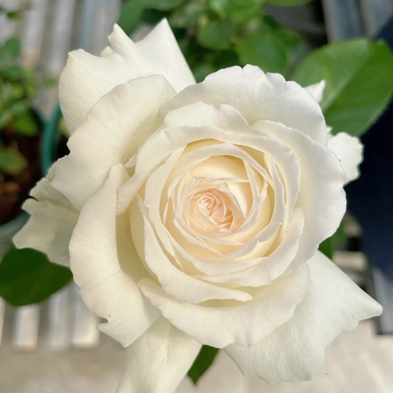 1704442042973229.jpg