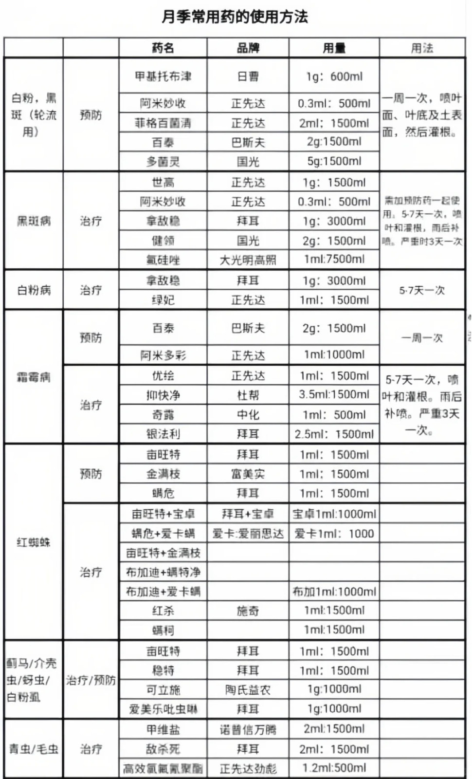 1705286445577654.jpg 月季花喷什么农药最好