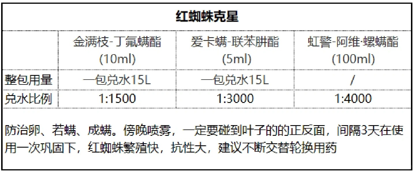 1705286446234543.jpg 月季花喷什么农药最好