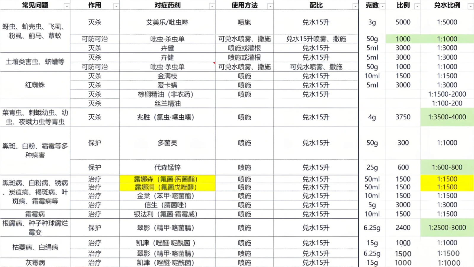 1705286446915071.jpg 月季花喷什么农药最好