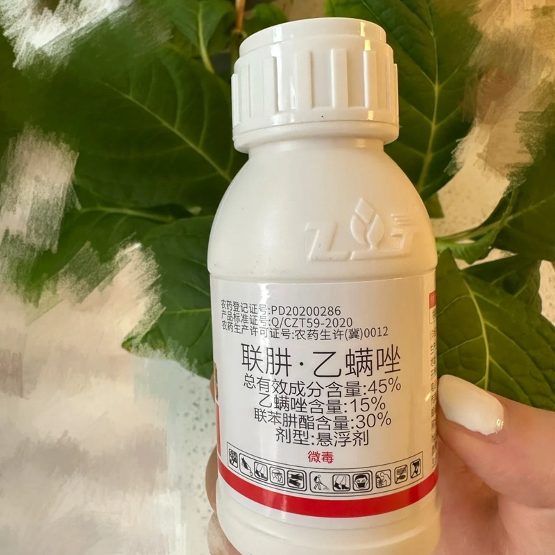 1705303116142828.jpg 月季花长红蜘蛛怎么办