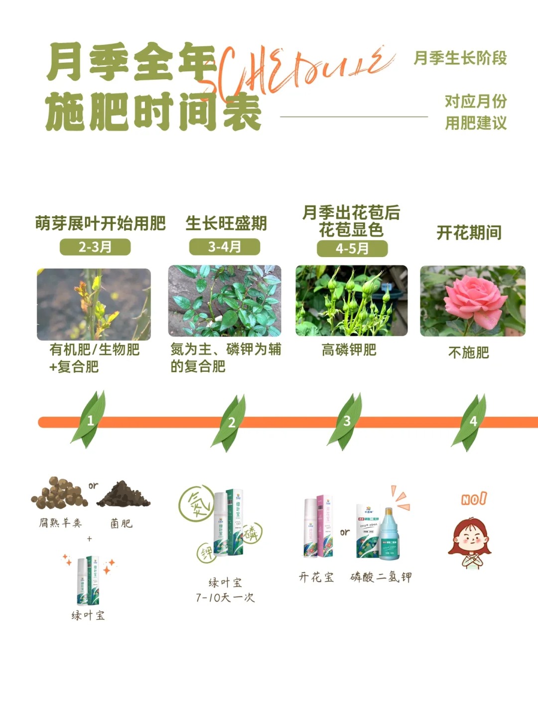 1705472879972013.jpg 月季花需要什么肥料
