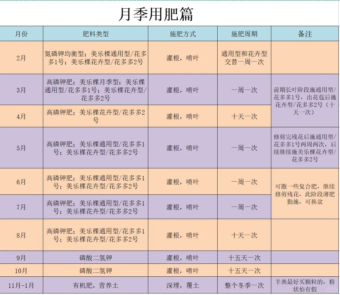 1705909563354224.jpg 月季什么时候施肥最好