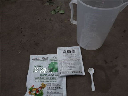 多菌灵 多菌灵