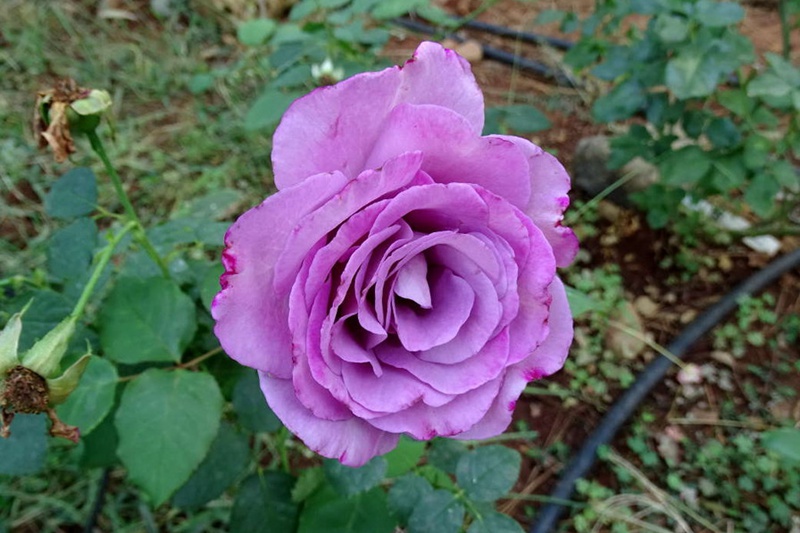 1709623876923399.jpg