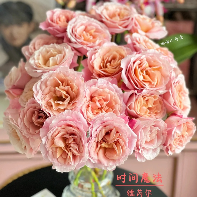 1712199928191610.jpg 时间魔法Heure Magique