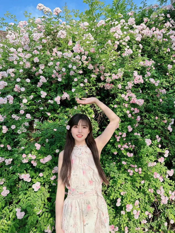 1720427926489154.jpg 胭脂扣和蔷薇花的区别