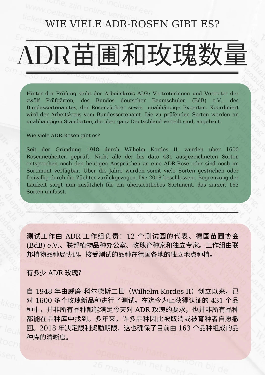 1721610345451923.jpg 什么是ADR认证,ADR月季官网名单
